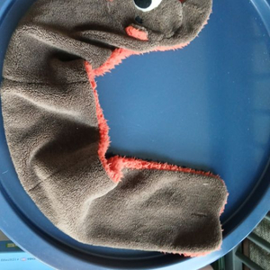 곰돌이 목돌이