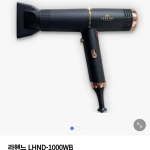 라헨느 헤어드라이어