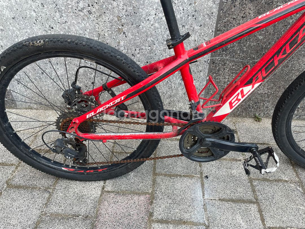 블랙캣mtb 24인치 급처--3