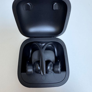 Beats Powerbeats Pro 파워비츠 프로