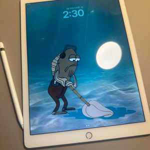 아이패드 프로 셀룰러12.9 (128gb) +애플펜슬