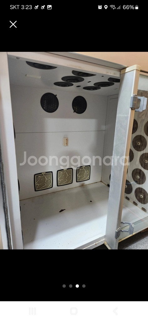 붐펫w400 특대--2