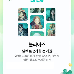 블라이스셀렉트 2개월 정기권
