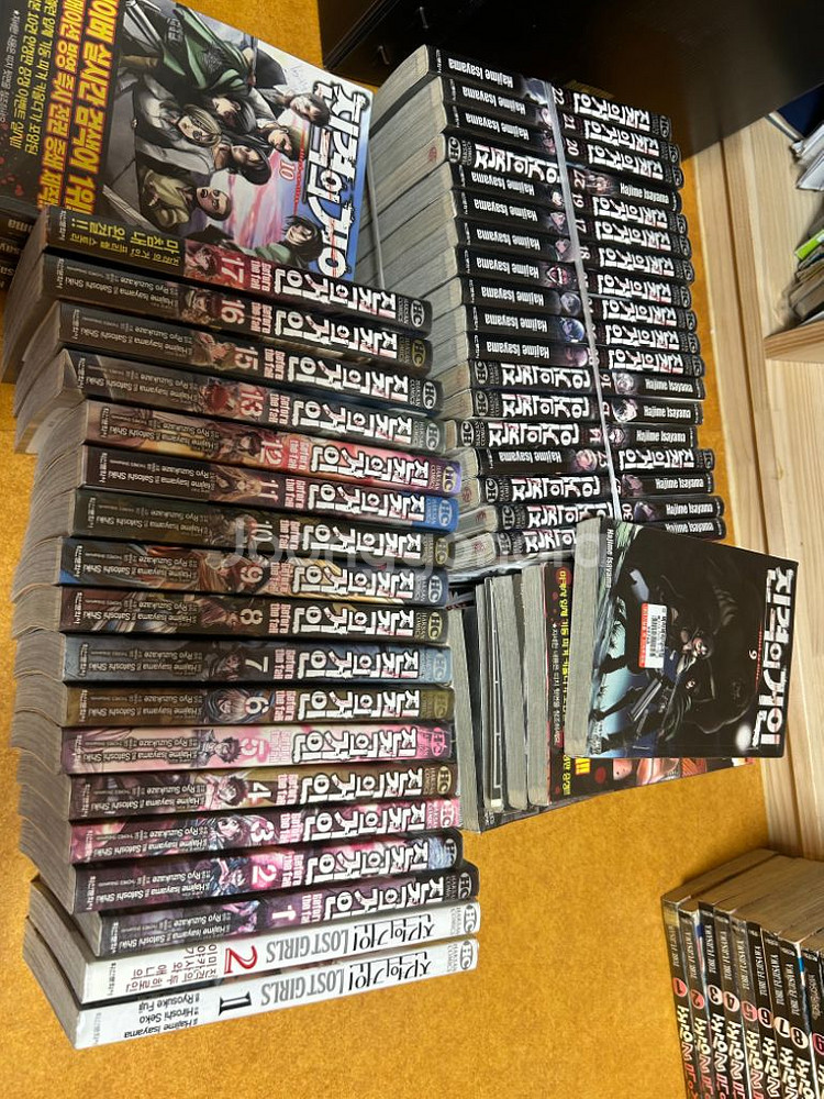 만화책(진격의거인,살육의천사,상남2인조,반항하지마외)--5