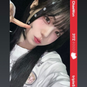 트리플에스 채원 옵젝 양도