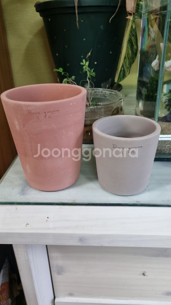 울산) 두갸르송--0