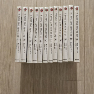 내여귀 라노벨 12권 세트
