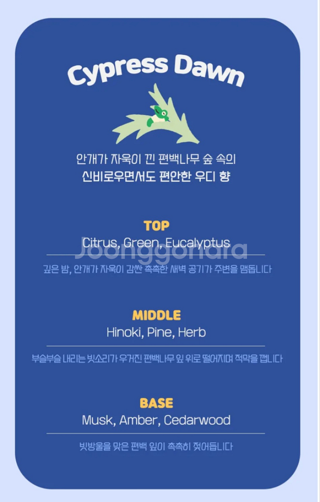 라운드어라운드 슬립 베러 필로우미스트 오요우 콜라보 기--7