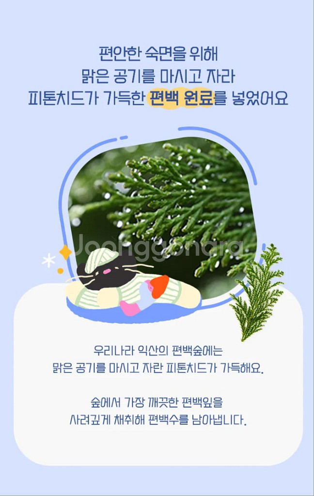 라운드어라운드 슬립 베러 필로우미스트 오요우 콜라보 기--6