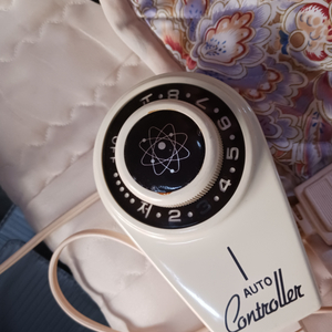 2인용 전기매트