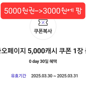 카카오페이지 5000캐시 5천원금액권 쿠폰 3천원에판매