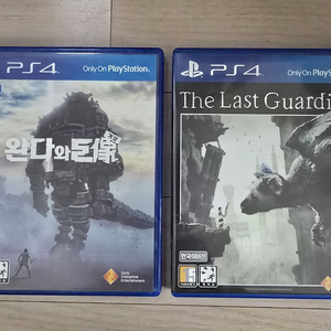 PS4 완다와 거상, the Last guardian
