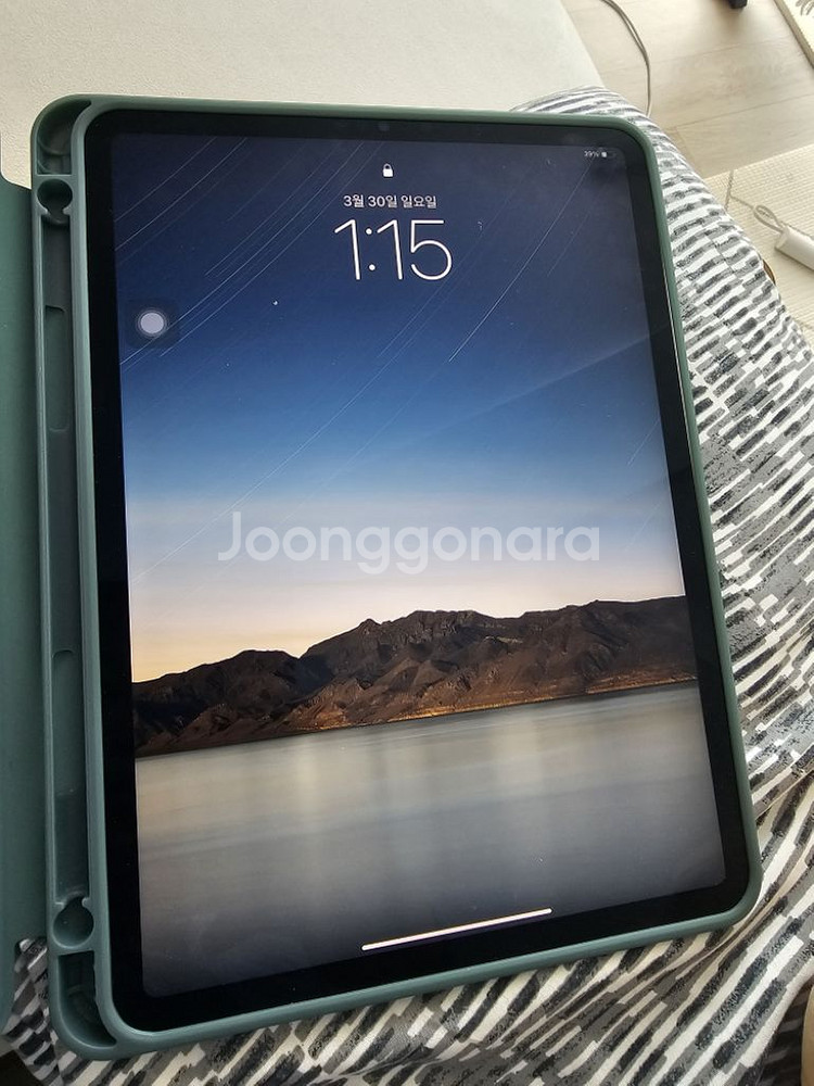 아이패드 프로 4세대 11인치 256g--2