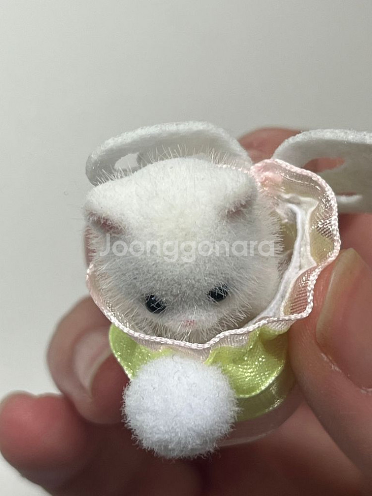실바니안 페르시안 고양이 토끼 블라인드백 요정 일괄--2