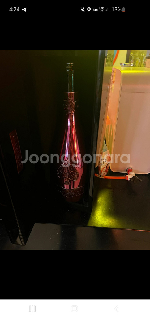 아르망디 공병+케이스 팝니다(로제 메그넘)--0
