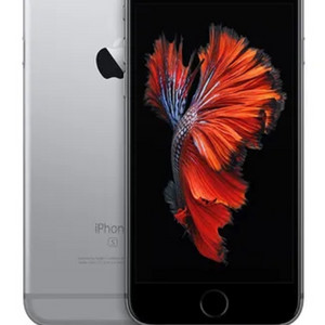 아이폰 6s 스그,골드 32기가 구해요(안전결제만)