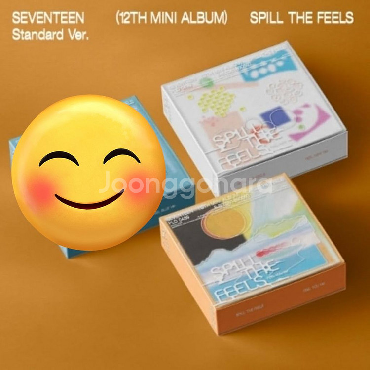 세븐틴 미니앨범 Spill The Feels 미개봉 원--0
