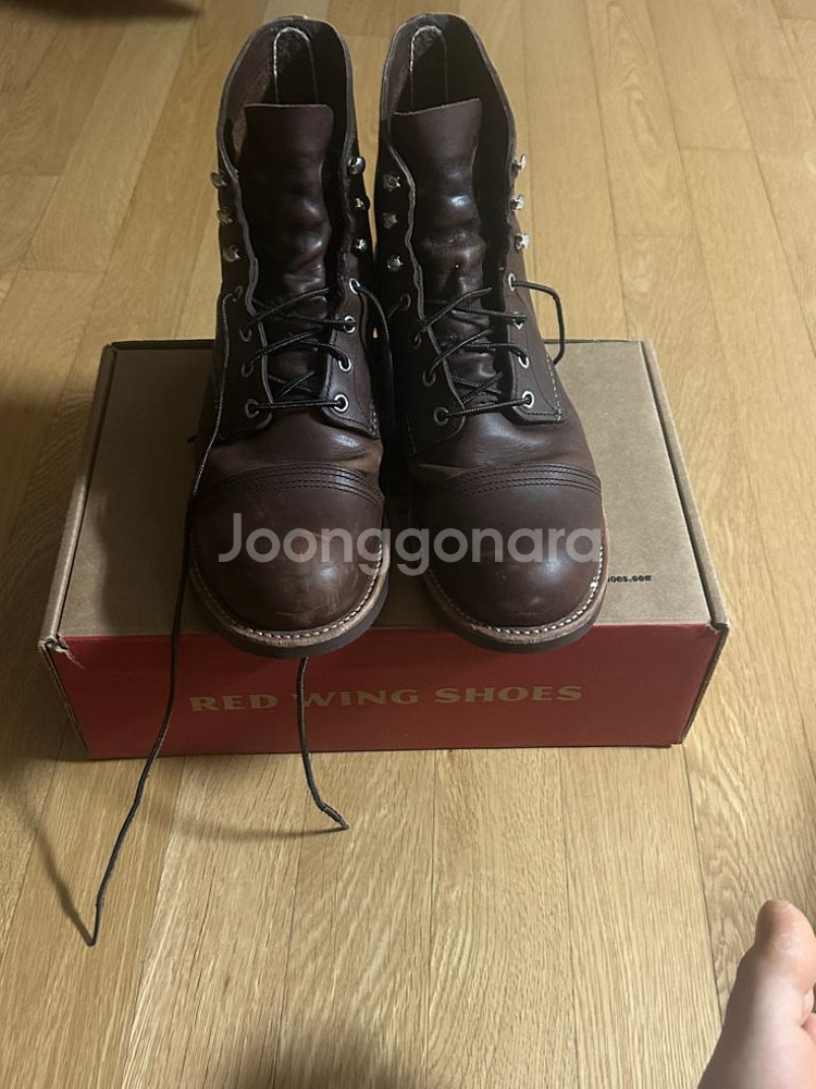 레드윙 아이언레인저 8111 10.5d--5