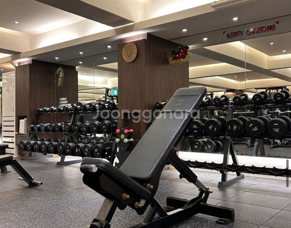 망원동 헬스장 양도--0