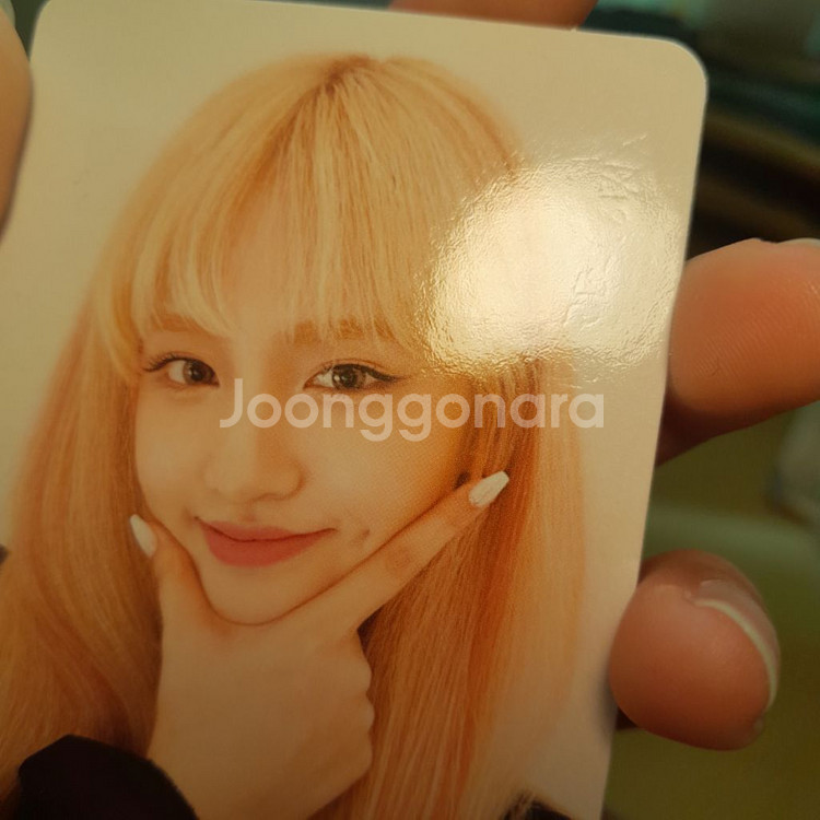 아이브 일레븐 리즈 포카 세트--2