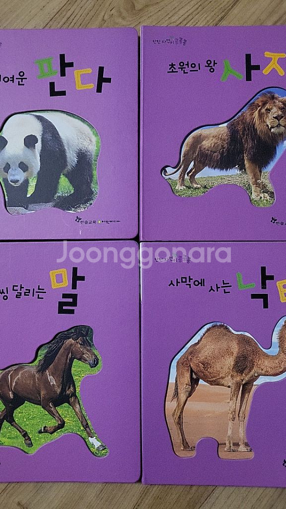 탄탄자연이콩콩콩--2