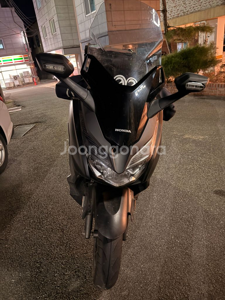 포르자300--1