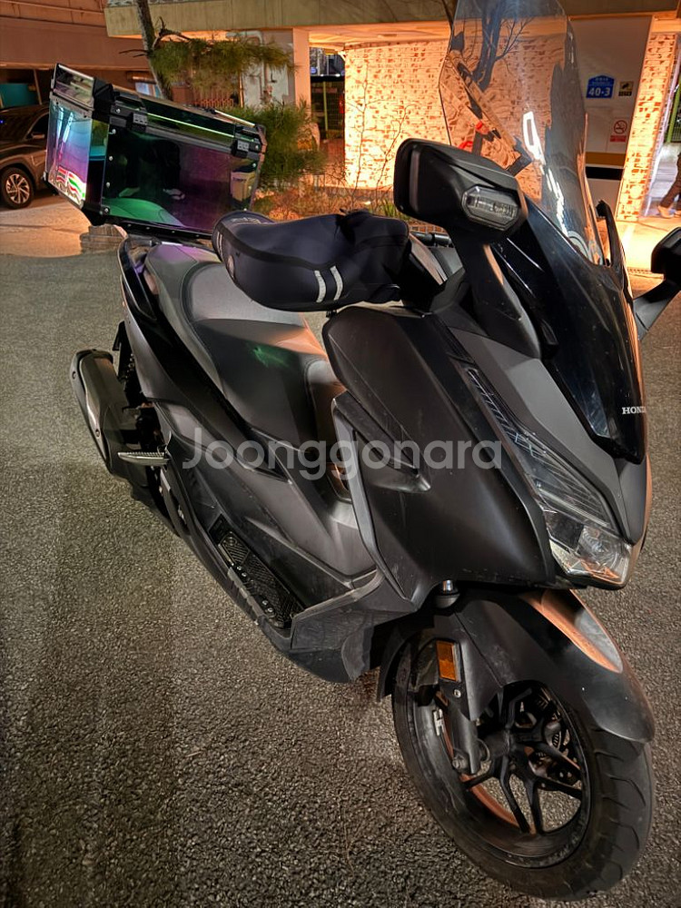 포르자300--5