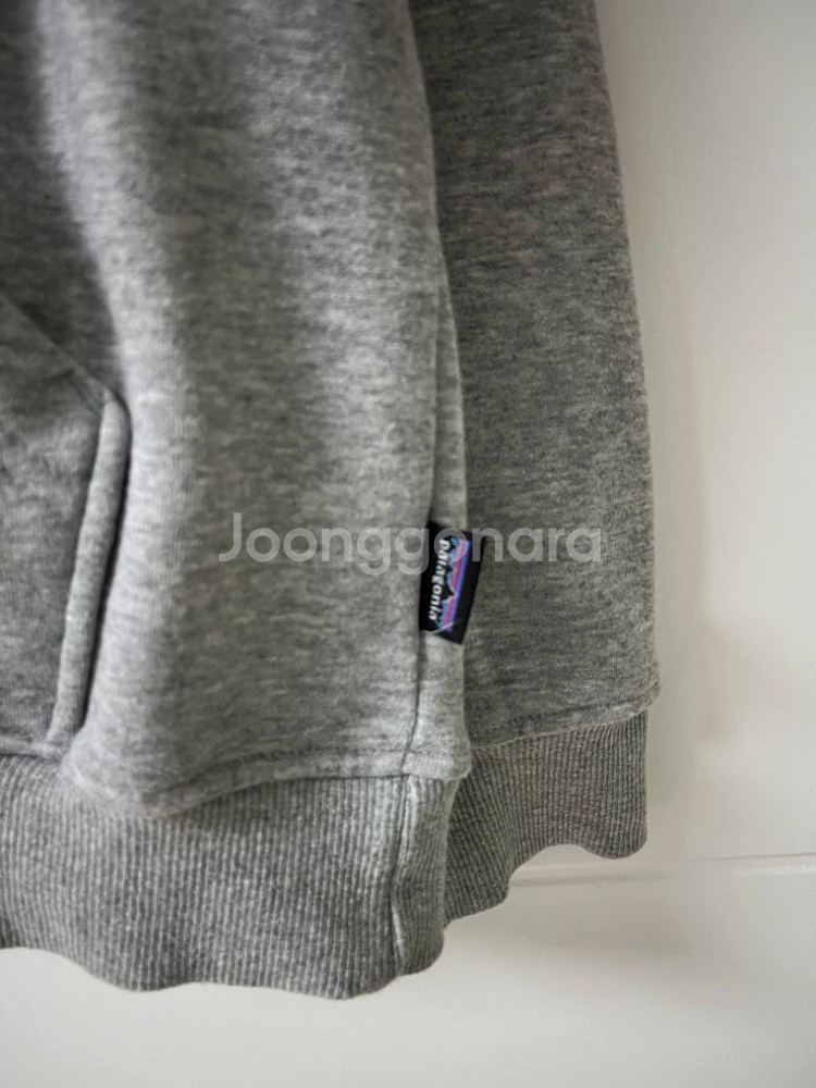 파타고니아 후드티--2