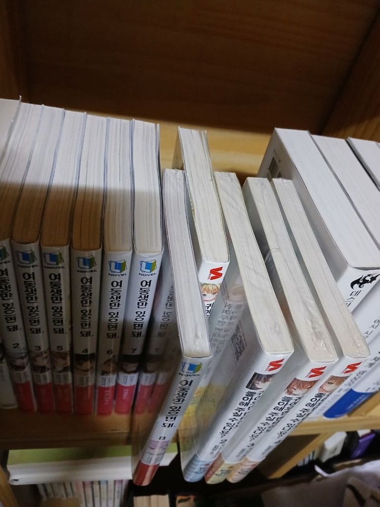 여동생만 있으면 돼 8권--1