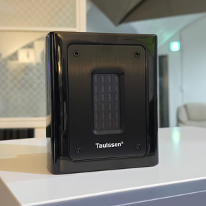 taulssen 30w 리본 슈퍼 트위터