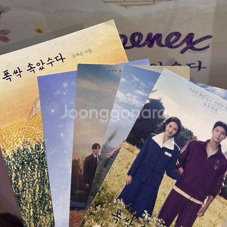 (구해요)폭싹 속았수다 스페셜GV,백일장 굿즈 구해요--0