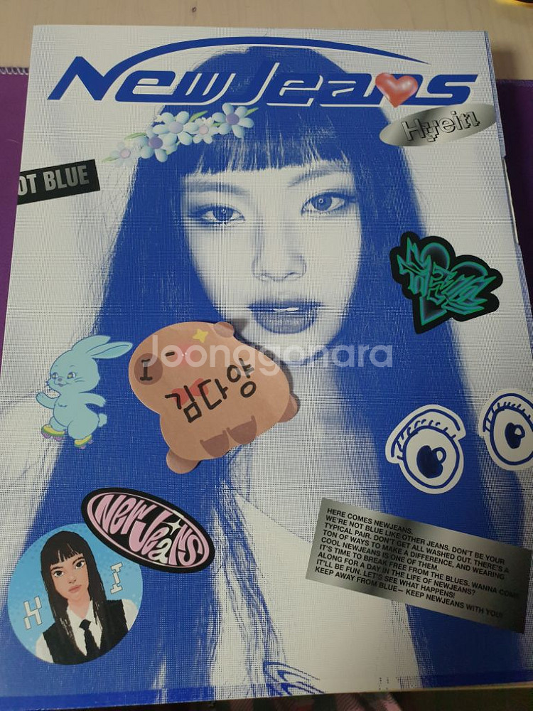 NJZ 뉴진스 블루북 혜인--0