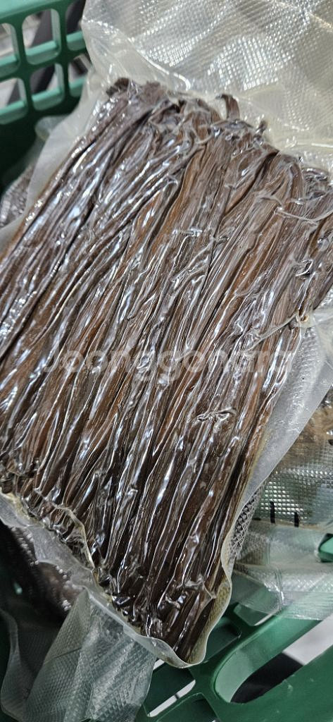 생바닐라빈 10kg (파푸아뉴기니산) 1키로당 금액--0
