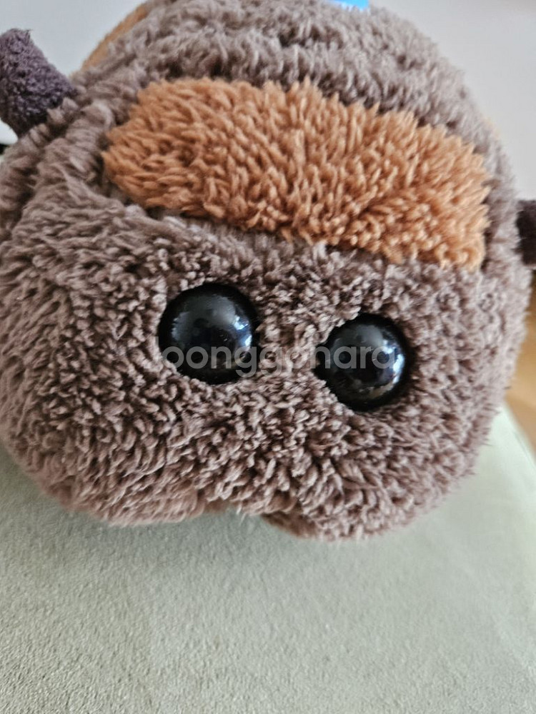 뿌이뿌이모루카 테디 인형--0