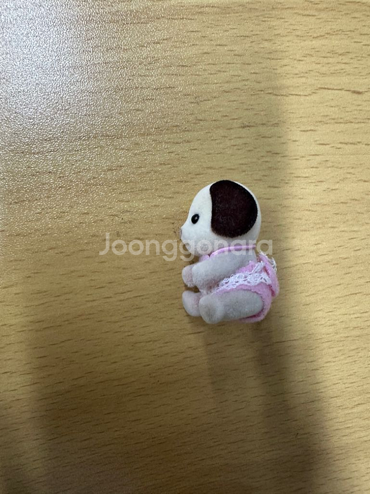 실바니안 올드 비글 아기--3