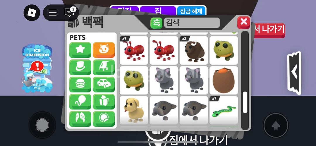 입양하세요 펫 현거--3