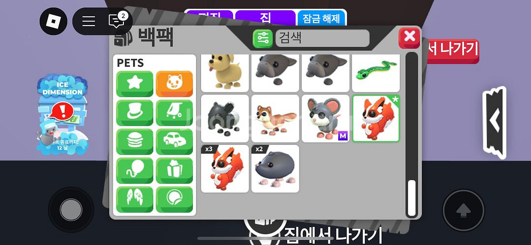 입양하세요 펫 현거--4
