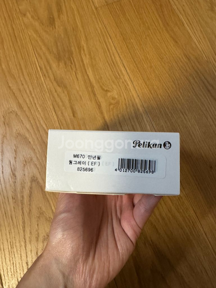 펠리칸 m670 만년필 웜그레이 ef--2
