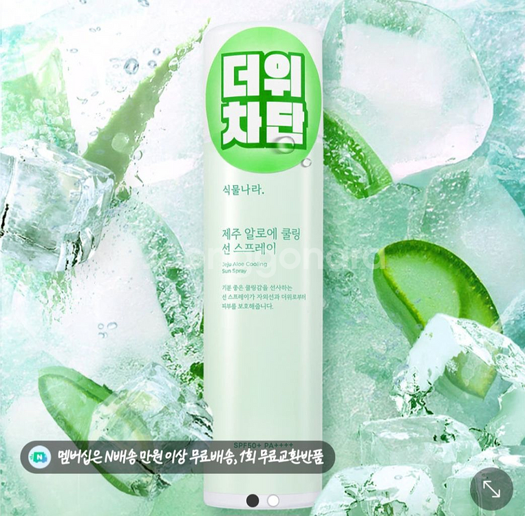 식물나라 제주 알로에 쿨링 선스프레이 100ml 2개--0
