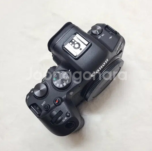 캐논 EOS R6--2