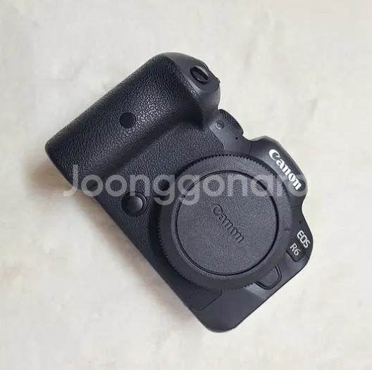 캐논 EOS R6--1