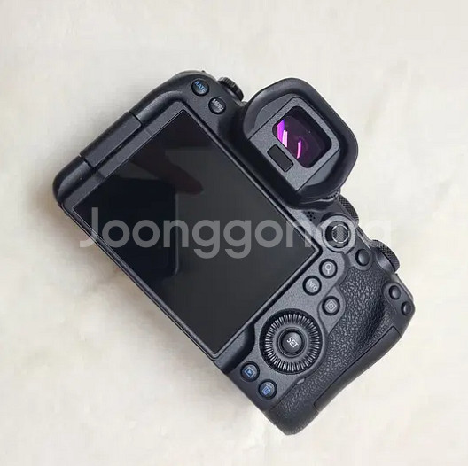 캐논 EOS R6--3