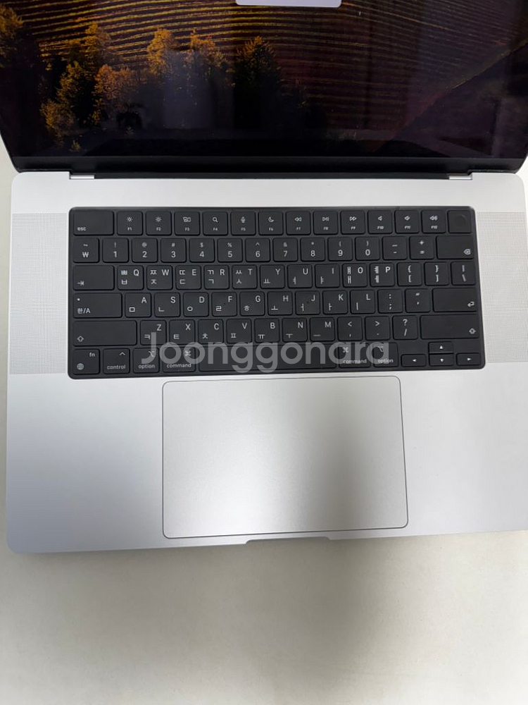 맥북프로 16인치 m1 max 64gb 1tb--3