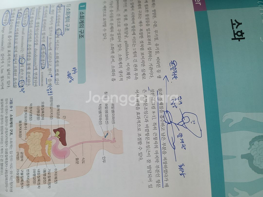 알기 쉬운 인체생리학 고문사--1