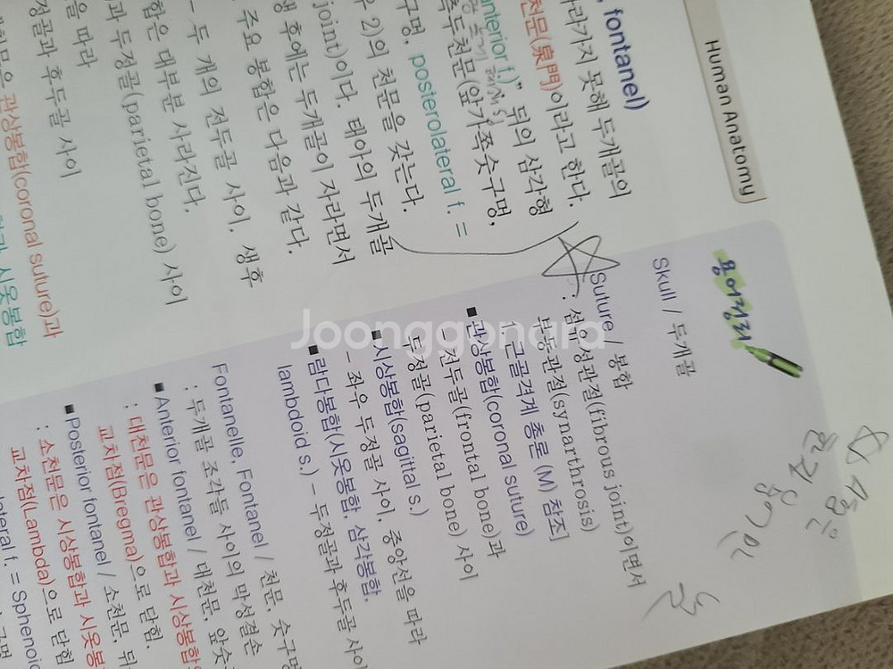핵심 인체 해부학 은학사--1