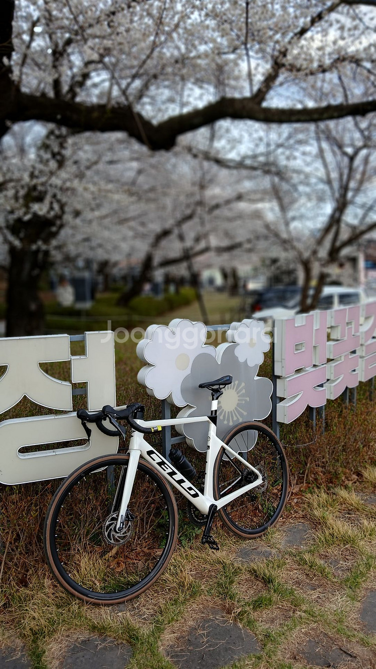 첼로 엘리엇 희귀 화이트 프레임+105 기계식--0