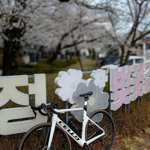 첼로 엘리엇 희귀 화이트 프레임+105 기계식