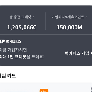 sk일렉크레딧