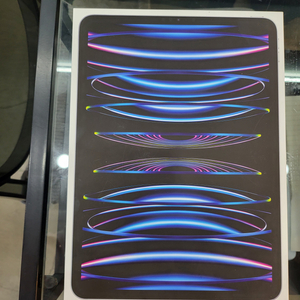 아이패드 프로 4세대 2TB 셀룰러 버전 새상품 미개봉