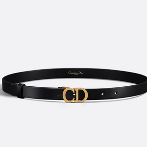디올 새들 벨트